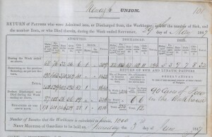 Numbers in Nenagh Workhouse 3 June 1847